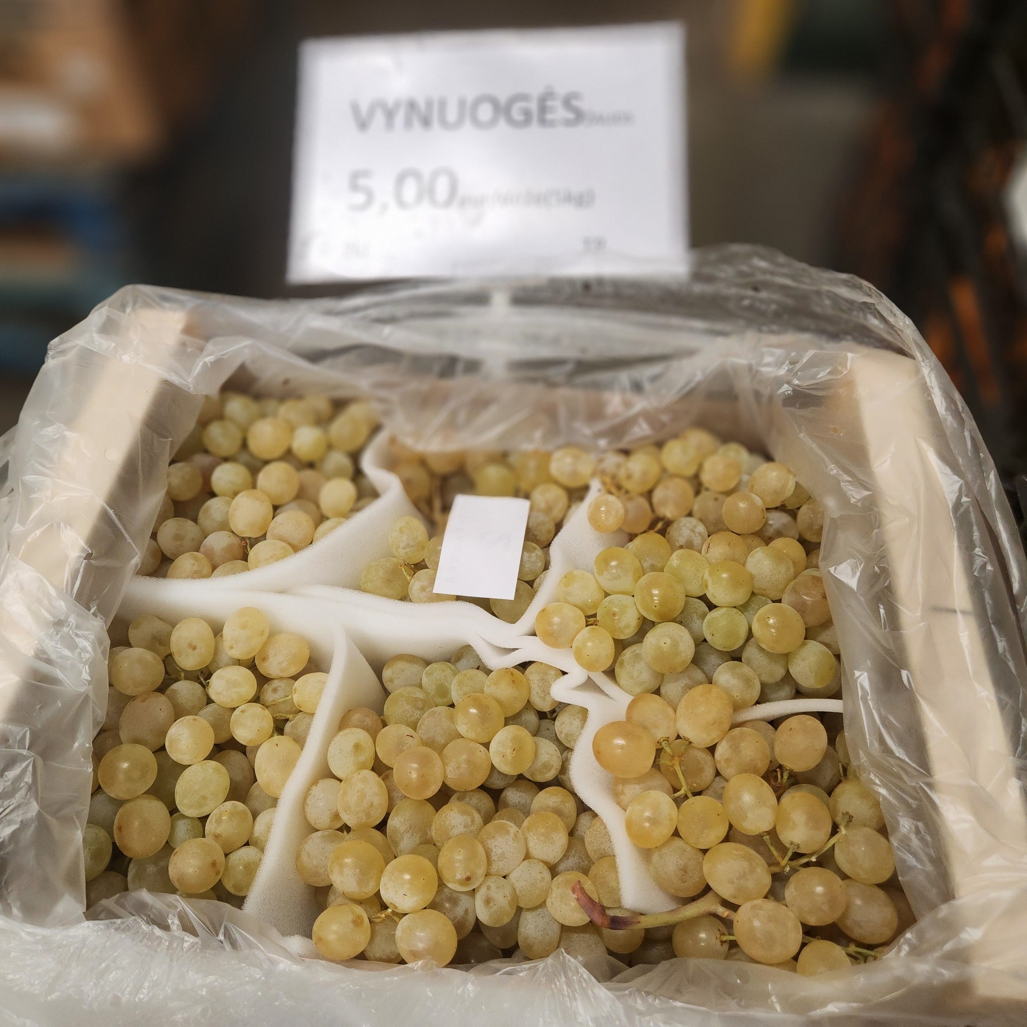 Žalios vynuogės dėžutėmis